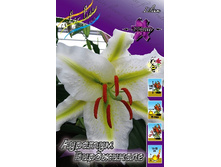 47,78���. ����� ���. ����������(�������� ���� �� 5 ��., ����������� ����� 1��.).jpg