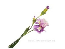 3661864002387 ������ ������������� ����, 110c� 72 742,9.jpg