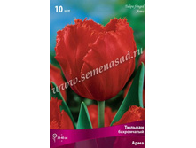 ������� ����.jpg