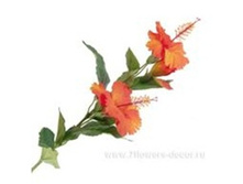 3661864013208 ����� ������������� ��������, 71�� 96 351,9.jpg