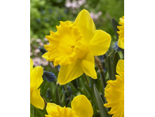 17,56���. ������� ���� ������(��� 10 ��. ���������� ������ 5��.)���16.jpg