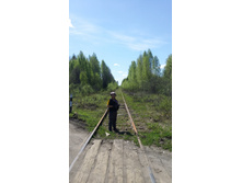 20160509 113335.jpg