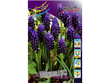 11,7���. ������� ���������(���������� ������ ������ ���������� �� 5 ��.).jpg