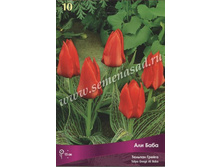 ������� ��� ����.jpg