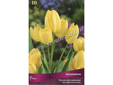 ������� ����������.jpg