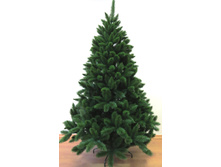 ������ ��� ������ ���� �������