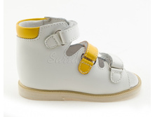 ������� 1995 ���