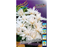 256,4���. �������� ����������� (����������.)(�������� ���� �� 2 ��., ����������� ����� 1��.).jpg