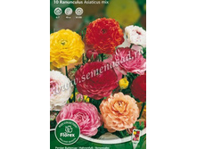 ����� ����� �������.jpg