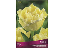 ������� ������.jpg