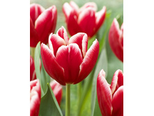 19,43���. ������� ������(��� 10 ��. ���������� ������ 5��.)���15.jpg