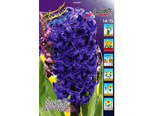 37,92���. ������� ����(��� 5 ��. ���������� ������ 2 ��� 3 ��.)���15.jpg