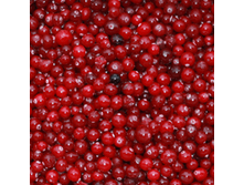 ������������ ������  ���� 210,00