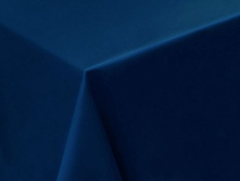 ���������� ����� � ����������������� ���������, Janet �.�����, ������ 155 ��, 249 ���