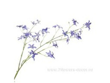 3661864017336 ����� ������������� ����������, 74�� 144 261,05.jpg