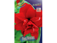 332,9���. ��������� ��� �����(�������� ���� �� 1 ��., ����������� ����� 1��.).jpg