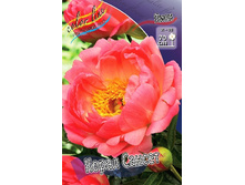 309,8���. ���� ����� ������(�������� ���� �� 1 ��., ����������� ����� 1��.).jpg