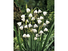 33,24���. ������� ������� �����(��� 5 ��. ���������� ������ 2 ��� 3 ��.)���15.jpg