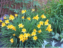 �������� ������ ������ ����������� ���� 80��� � ������� 10��.jpg