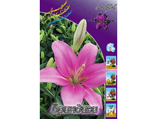 19,1���. ����� ��������(��� 7 ��. ���������� ������ 3 ��� 4 ��.).jpg