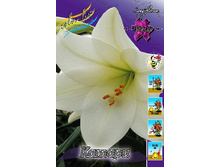 30,8���. ����� ������(��� 7 ��. ���������� ������ 3 ��� 4 ��.).jpg