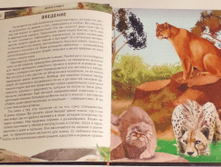 1458130872 3b26f3c583e6ac65ee23a114a175c0f6.png