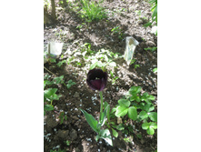 �����. ������ �����. �� ���������!