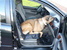 ��������� � ����������2.jpg