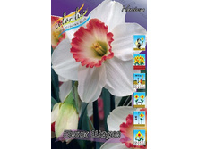 554e75a48019e 1368rub. nartsiss pink sharmryad 10 sht. zakazyvaem kratno 5sht..jpg