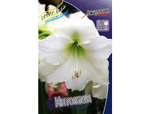 278,6���. ��������� ��������(�������� ���� �� 1 ��., ����������� ����� 1��.).jpg