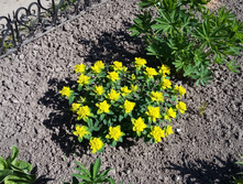 20160515 095050.jpg