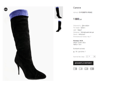 OV ROBERTA 990682.png