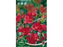 ������ �������� ���.jpg