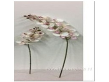 4606500620623 ������ ������������� ����������, 76�� 1 860,2.jpg