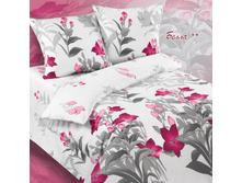 ����� (4927-1) ������