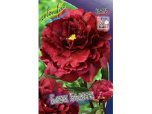 368,9���. ���� ���� �����(�������� ���� �� 1 ��., ����������� ����� 1��.).jpg