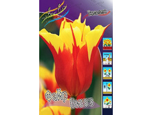 31,91���. ������� ���� �����(��� 7 ��. ���������� ������ 3 ��� 4 ��.).jpg