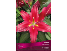 ����� �������.jpg