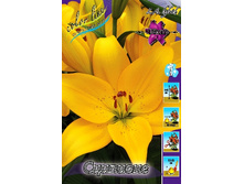 20,19���. ����� ��������(��� 7 ��. ���������� ������ 3 ��� 4 ��.).jpg