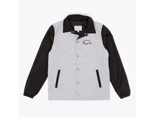 1700� ������ Anteater.jpg