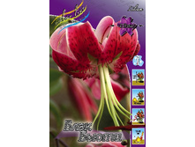 44,9���. ����� ���� �����(�������� ���� �� 5 ��., ����������� ����� 1��.).jpg