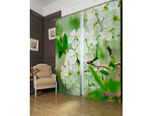 02352. ������ � �����