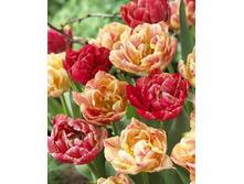 32,29���. ������� 17-� ���(��� 7 ��. ���������� ������ 3 ��� 4 ��.).jpg