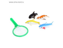 147574344-nabor s sackom (1).jpg