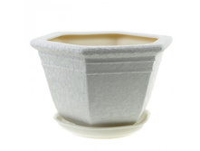 ������ ������  ���� �����