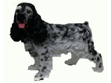 ������ ��������