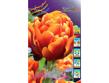 18,5���. ������� �����(��� 10 ��. ���������� ������ 5��.).jpg