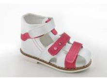 24109.����� ORTO.jpg