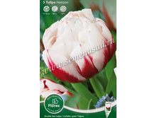 ������� ��������.jpg