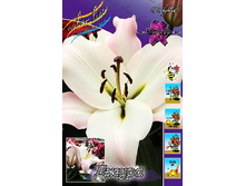 47,78���. ����� �����(�������� ���� �� 5 ��., ����������� ����� 1��.).jpg